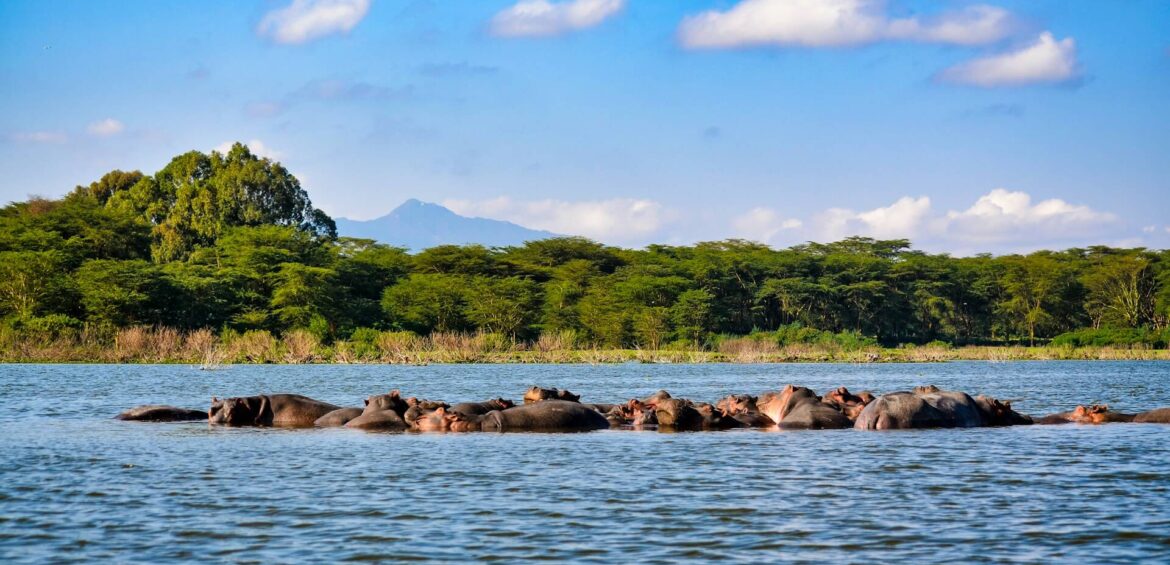9 Days Kenya & Tanzania Safari and Beach Holiday