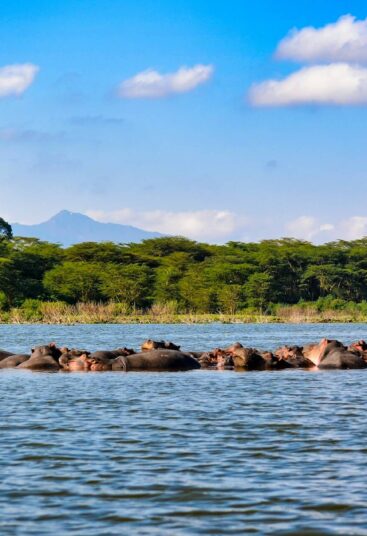 Lake Naivasha National Park