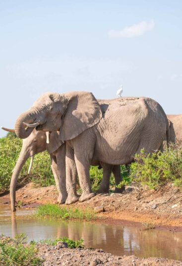Tarangire National Park