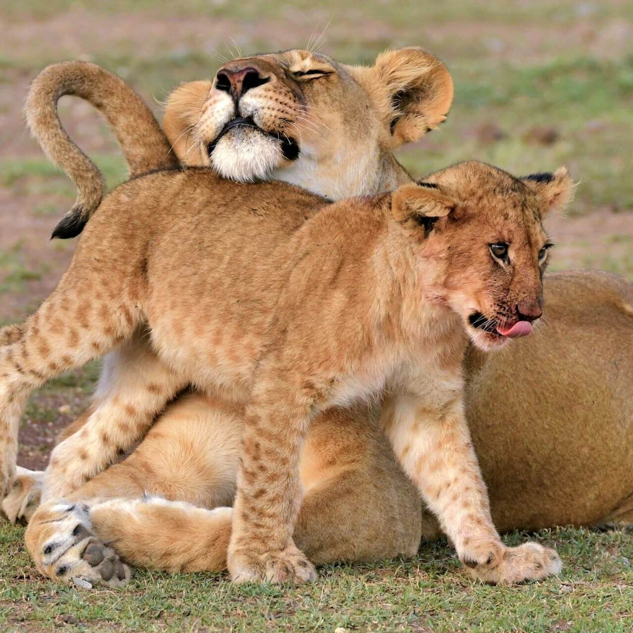 catherine-merlin-NYHXFQLrPVw-unsplash