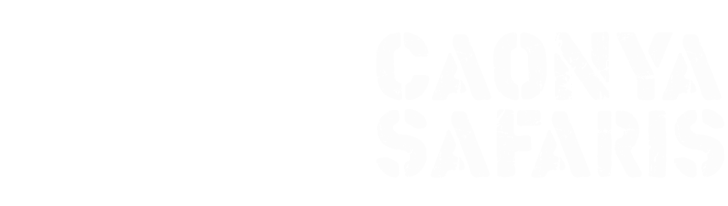 Caonya Safaris
