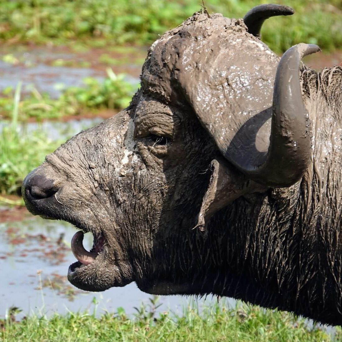 nathalie-lays-vs4DTHBjGAA-unsplash